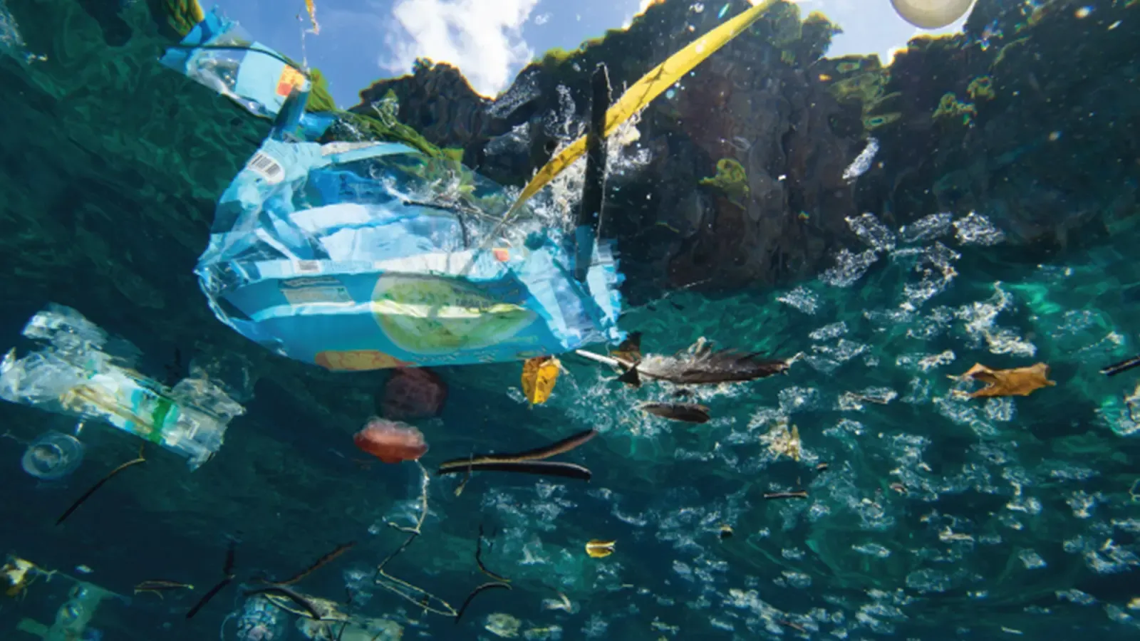 Trash floating in the ocean