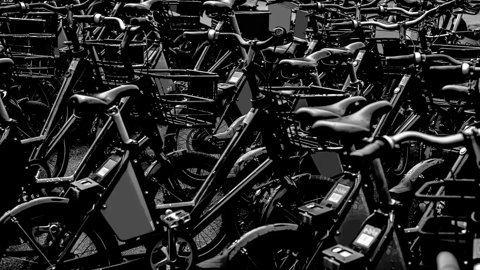 A large group of e-Bikes parked together